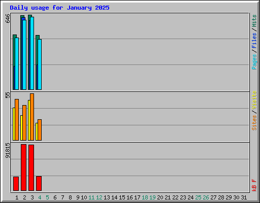 Daily usage for January 2025