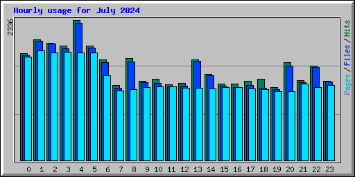 Hourly usage for July 2024