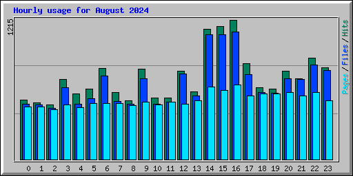 Hourly usage for August 2024