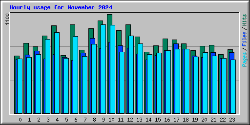 Hourly usage for November 2024