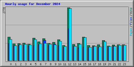 Hourly usage for December 2024