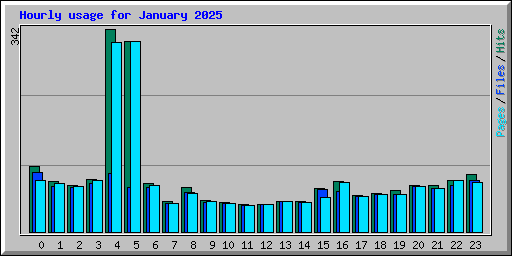 Hourly usage for January 2025